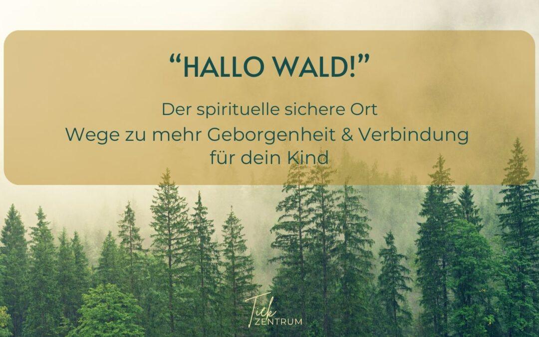 „Hallo Wald!“ – Wege zu mehr Geborgenheit und Verbindung für dein Kind