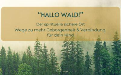 „Hallo Wald!“ – Wege zu mehr Geborgenheit und Verbindung für dein Kind