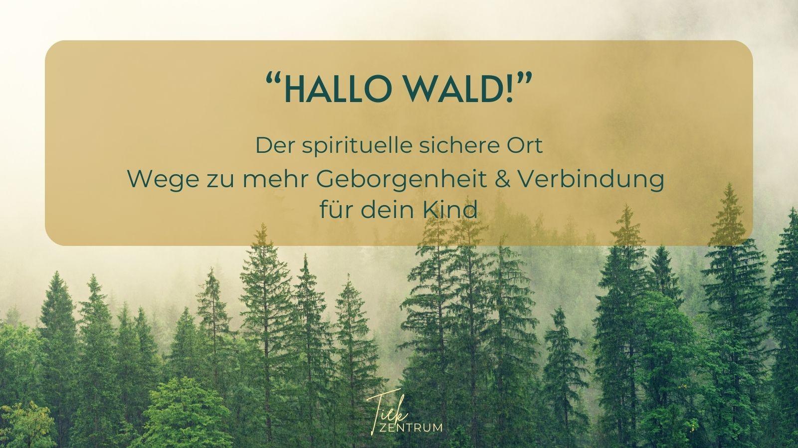 Wald als Symbol für einen spirituellen sicheren Ort als Konzept der Traumapädagogik, der Kindern Geborgenheit, Ruhe und Verbundenheit schenkt