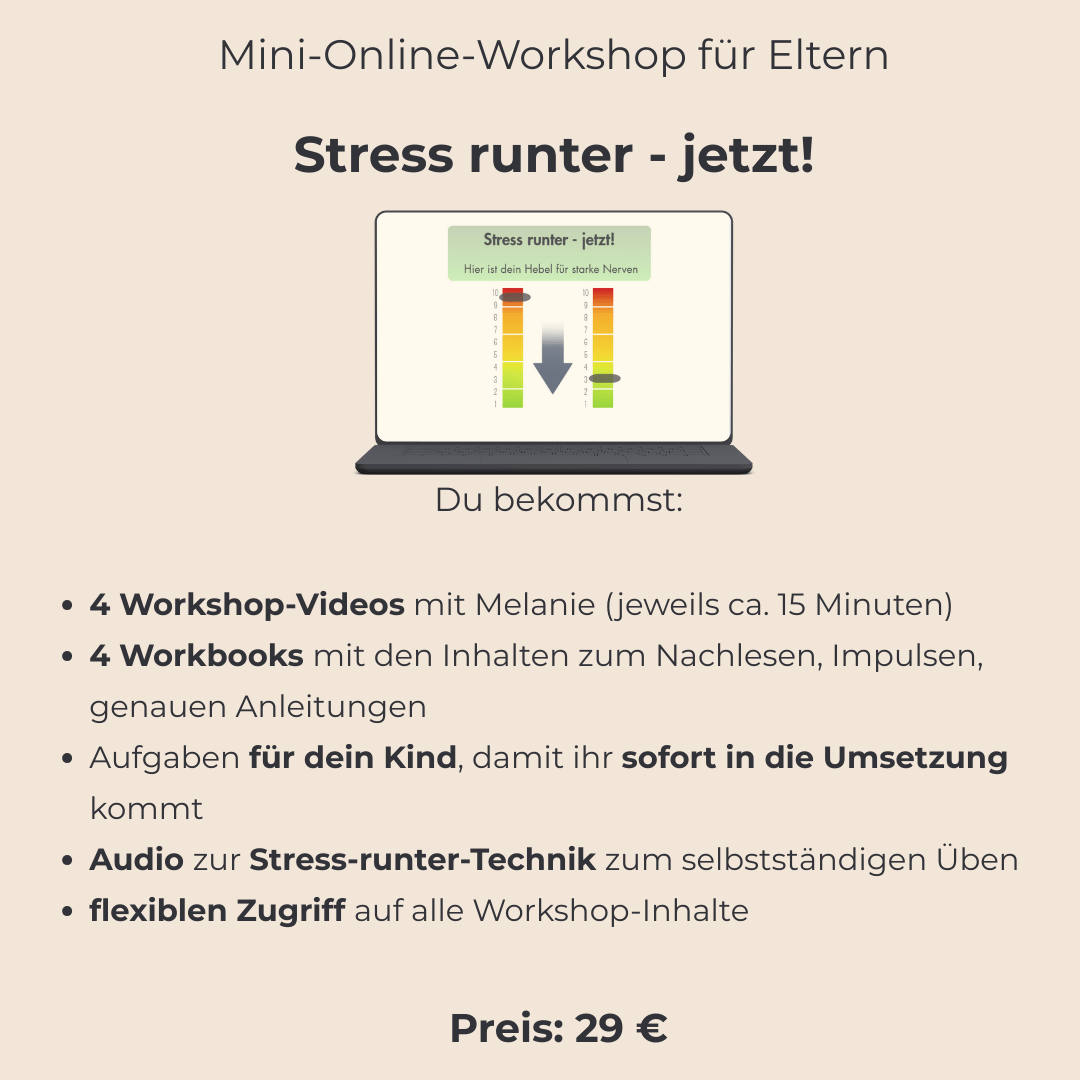 Laptop mit Bildausschnitt aus dem Workshop ‚Stress runter – jetzt‘ sowie der Stressregler-Grafik