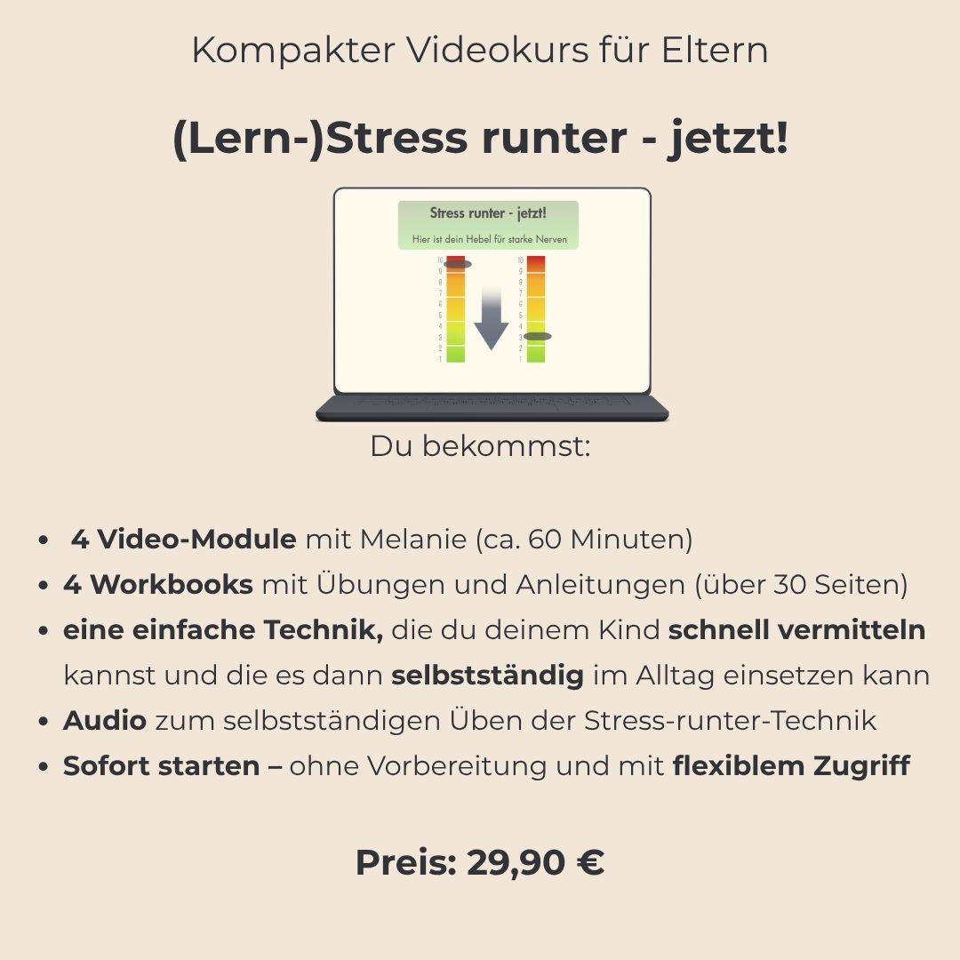 Bild Videokurs Lernstress runter Bild von Laptop mit Screenshot vom Eltern-Videokurs zu Lernstress runter- jetzt!