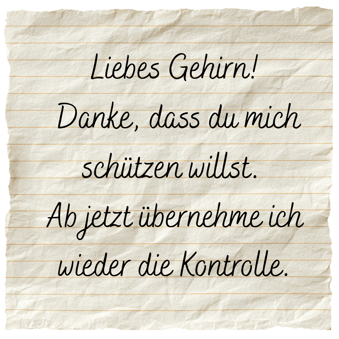 Geirhn_Selbstregulation_Selbstwirksamkeit_Kontrolle Notfallprogramm Gehirn Selbstregulation SElbstwirksamkeit Sicherheit Lernstress runter