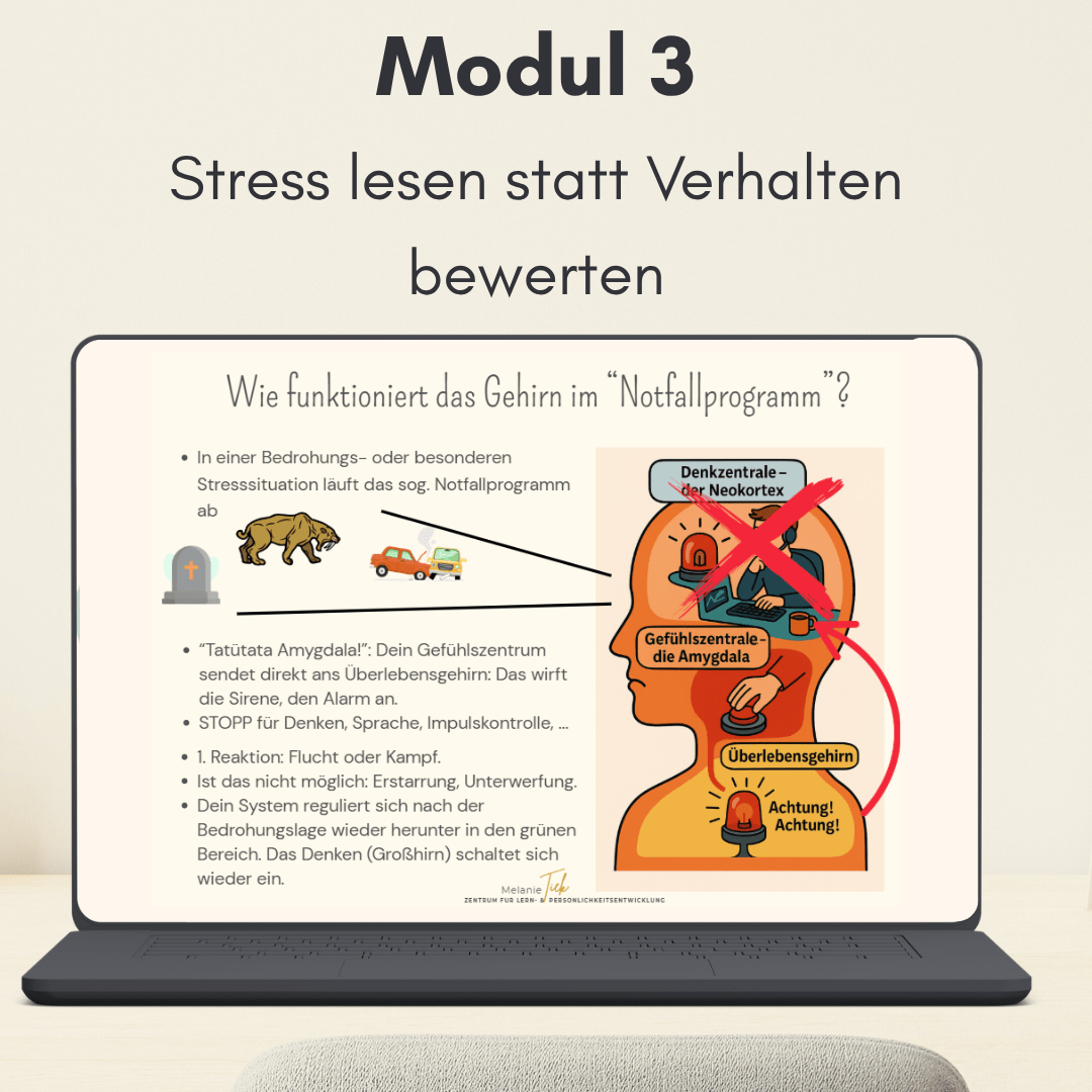 Videokurs_Lernstress_runter_Modul_3 Laptop mit Ansicht aus Videokurs Lernstress runter jetzt Modul 3 Notfallprogram Gehirne ADHS ADS Neurodivergenz