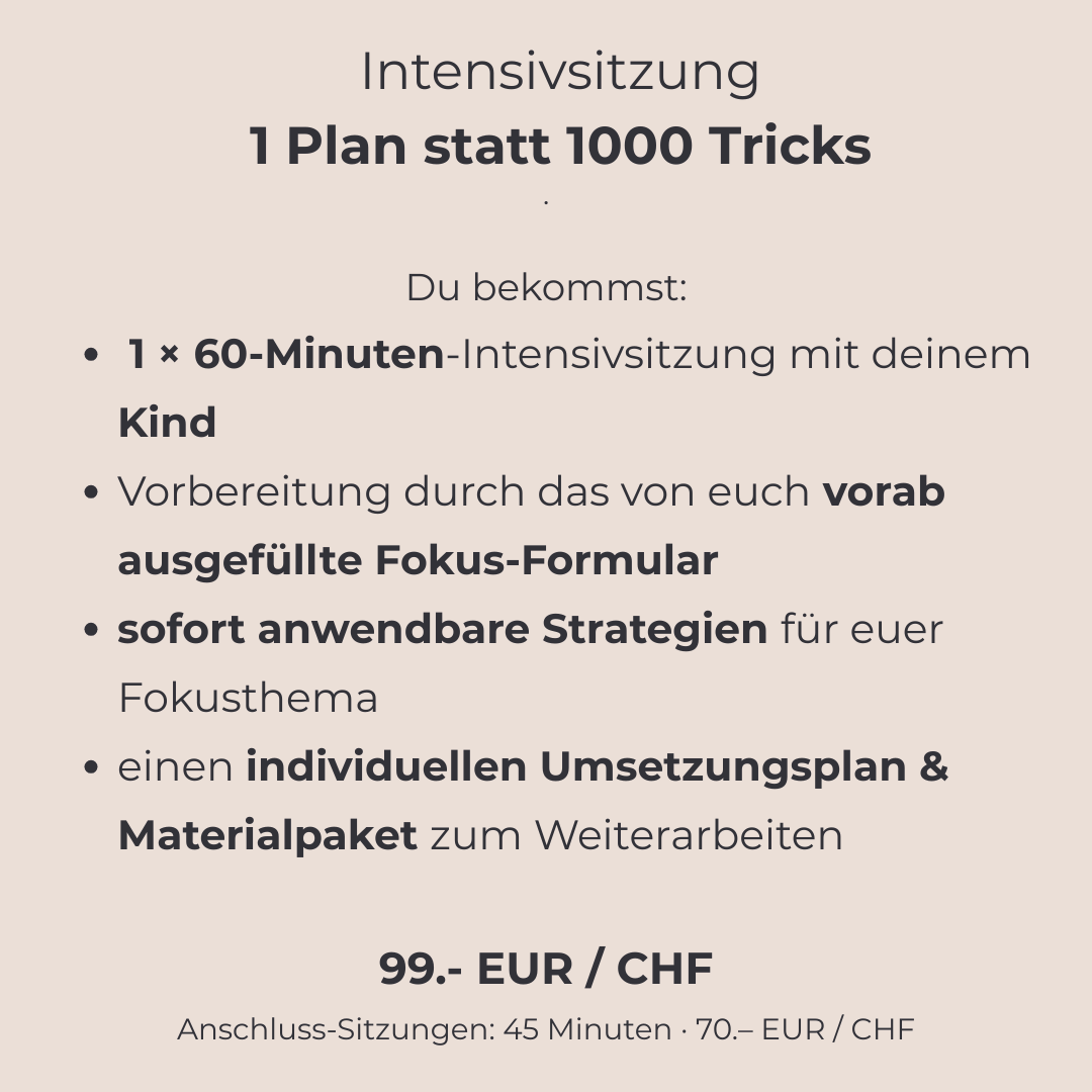 Angebot Lerncoaching intensiv
