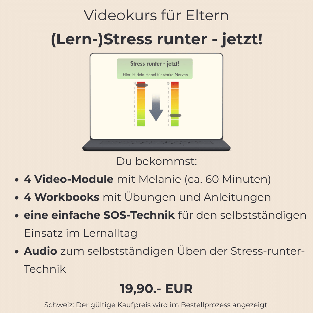 Angebot Videokurs Elternkurs Lernstress runter Stressregulation beim lernen